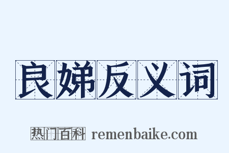 良娣反义词是什么意思的图片